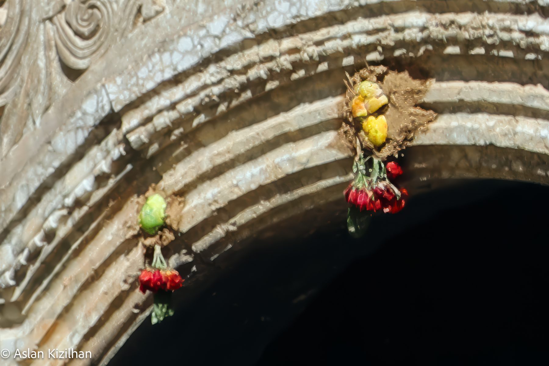 Blumen und Erde am heiligen Tor in Lalish